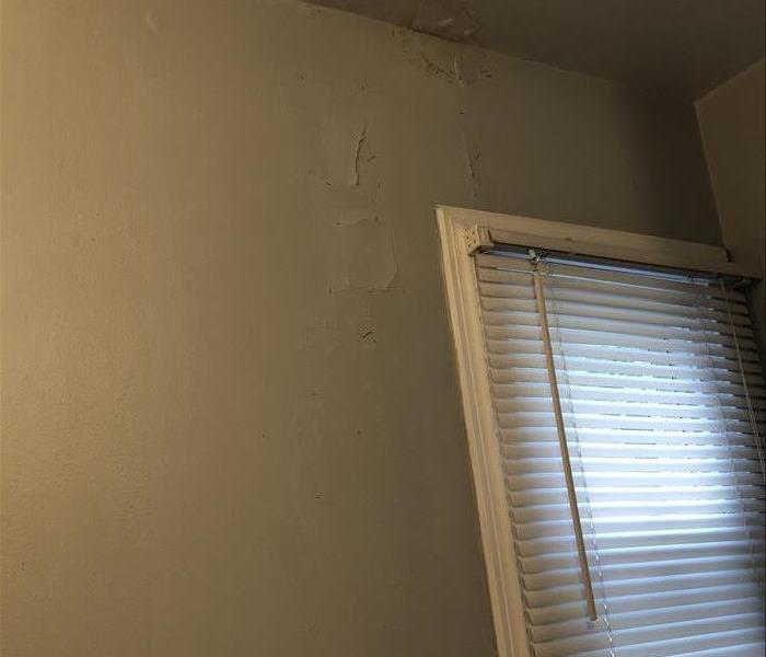 Water damaged drywall