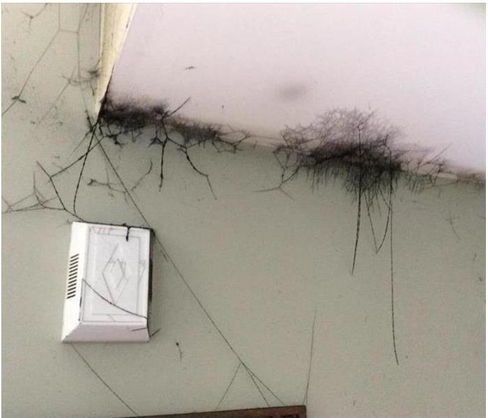 Soot from fire, Fire damage restoration service near me, smoke damage restoration - image of soot webs near ceiling