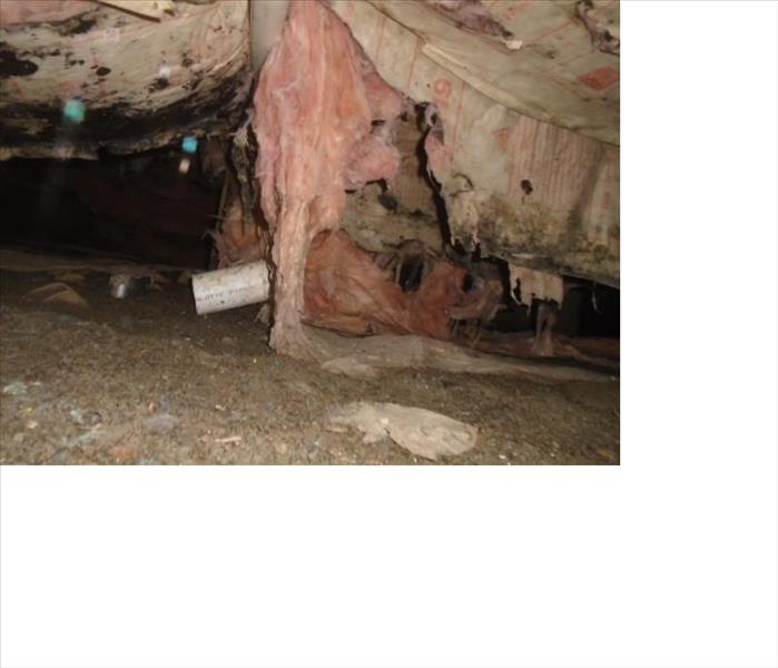 Mold on Insulation, Mold inspection near me, Mold remediation - image of mold in crawlspace