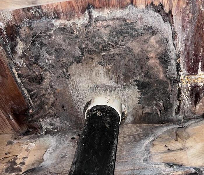 moldy crawlspace area