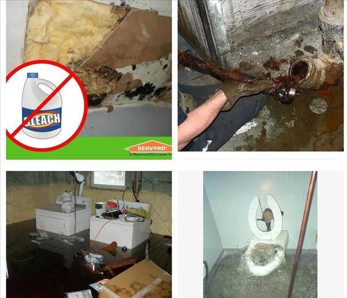 Sewage backup in basement, Biohazard cleaning services, sewage, sewage cleanup, sewage pipe backup