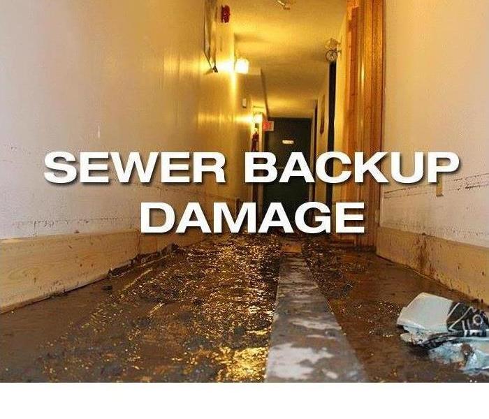 Sewage backup in basement, sewage backup in basement in NJ, sewage backup remediation in NJ