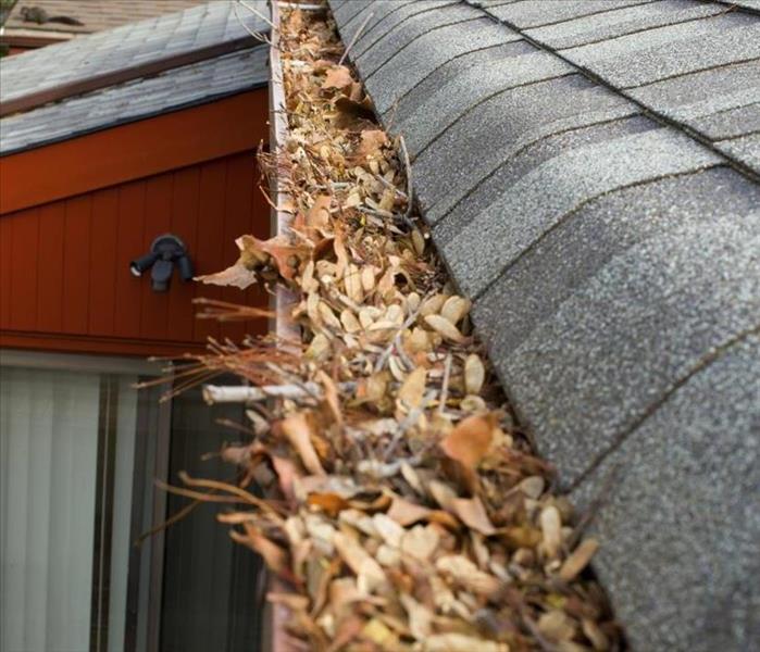 Gutter cleaning near me, how much is gutter cleaning, gutter cleaning in NJ - image of leaves in gutter