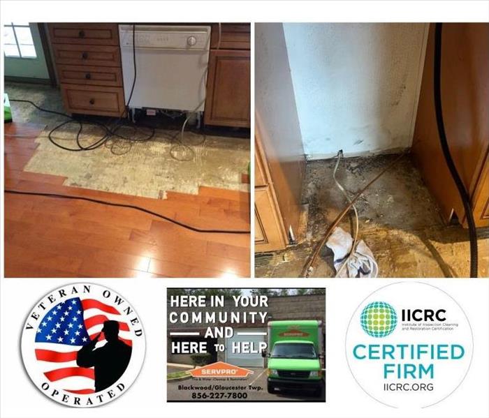 New Jersey Water Damage Restoration, Mold in Dishwasher, Dishwasher hose burst, Dishwasher leaking, Dishwasher leak,