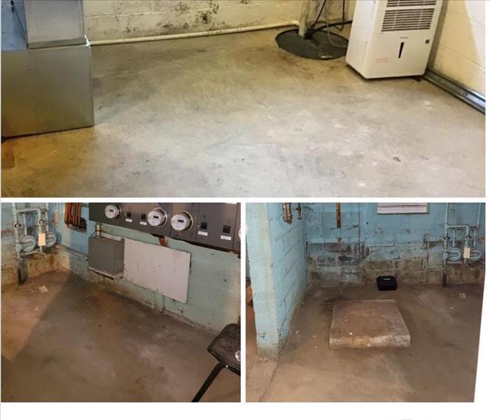 Water Intrusion, may cause both Mold Growth and Efflorescence in your Basement or Crawlspace