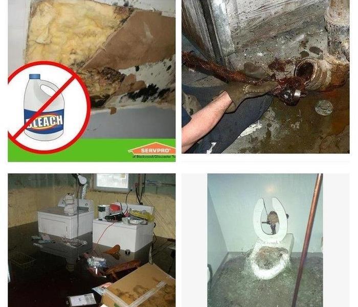 Sewage backup near me, sewage pipe backup, Biohazard cleaning services, sewage, sewage cleanup, sewage pipe break near me