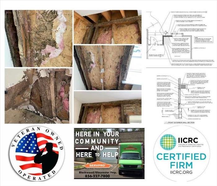 Water damage restoration companies near me, mold remediation near me, mold removal companies near me, termite damage near me,
