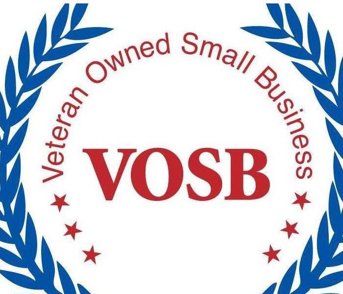 Veteran Owned and Operated Small Business logo, Veteran Owned Business (V.O.S.B.), Government contractor, Federal contractor