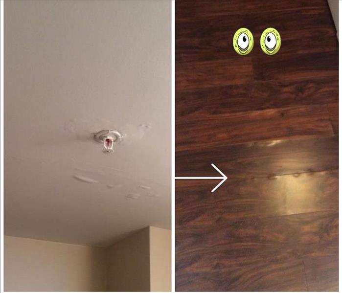 A Sprinkler Water Pipe, caused Water damage, and caused floor swelling and bubbling as well.