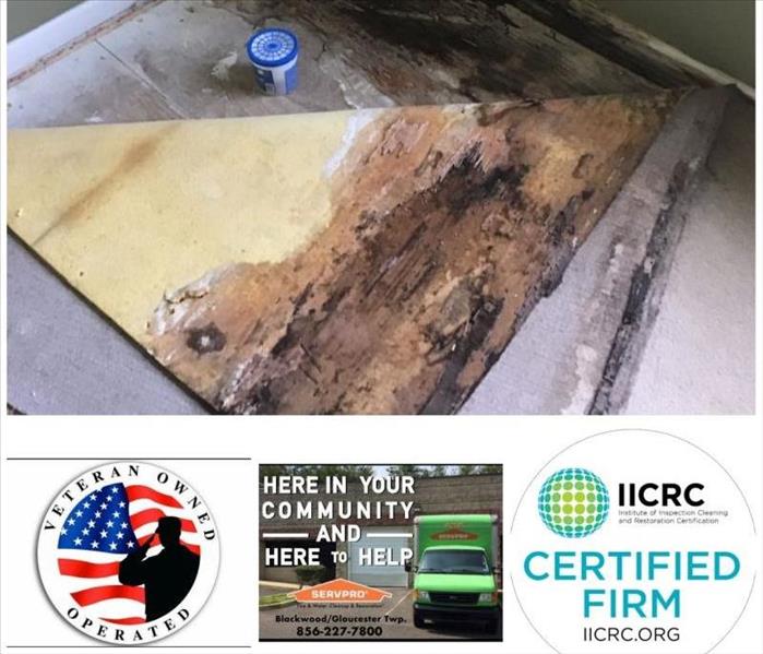Fire and water damage restoration near me, water damage near me, water damage and mold on Walls and Floor,