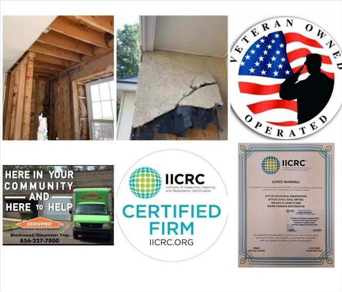 Repairing termite damage, termite damage in New Jersey, termite damage in NJ, mold remediation near me, mold removal near me