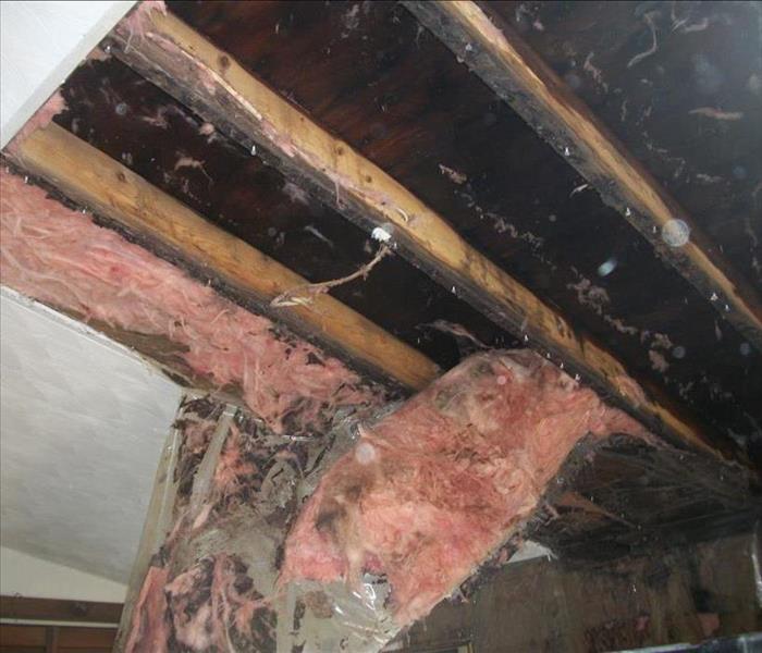 Commercial Mold removal in NJ, Residential Mold removal in NJ, Mold in NJ, Mold Removal Control in NJ