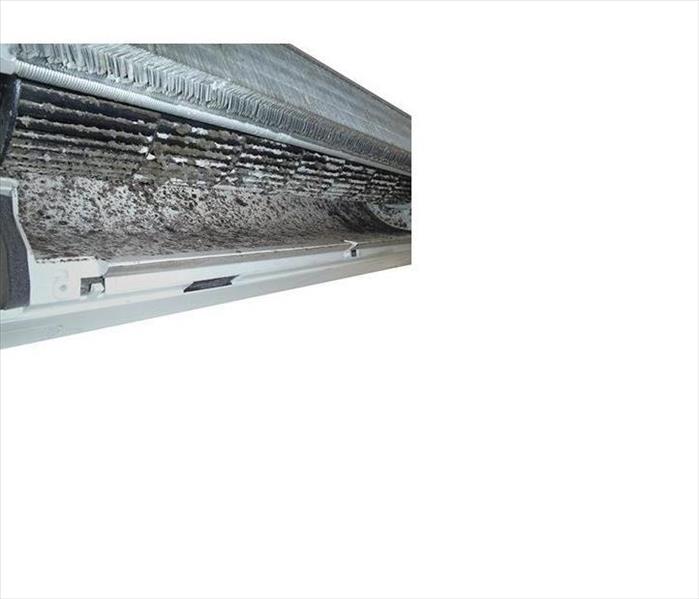 Mold removal control in NJ, Ductless Mini Split Mold, Ductless Mini Split Mold in NJ, Mold remediation in NJ