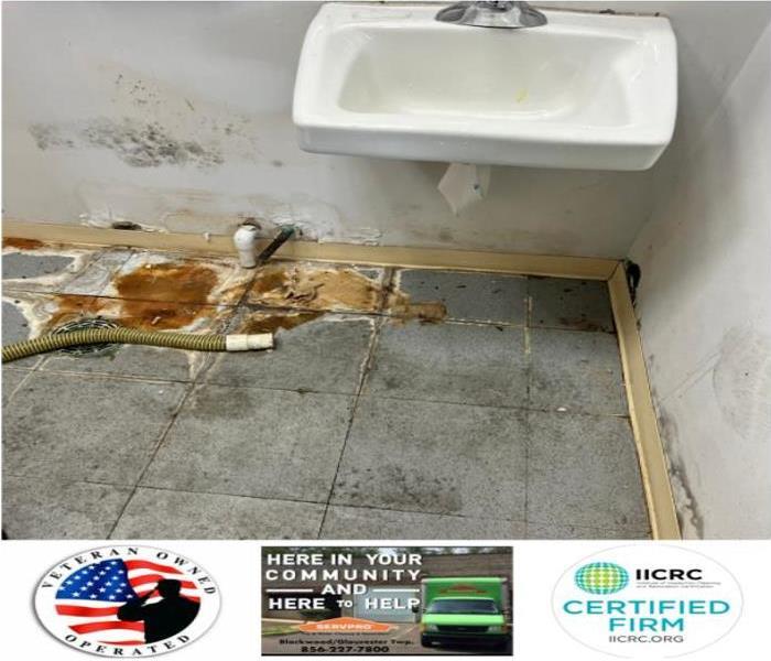 Mold growth in commercial bathroom